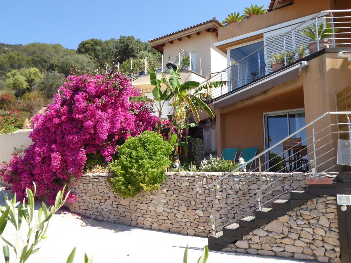 Barbicaj'Alta - Gites Ajaccio  Extérieur photo